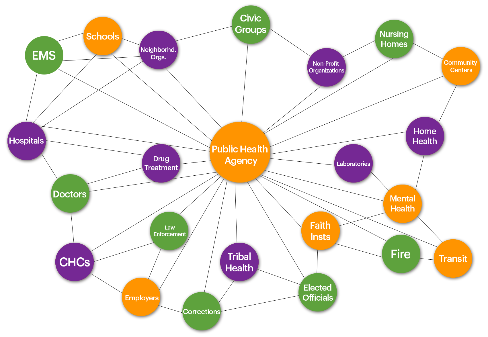 The Local Public Health Network